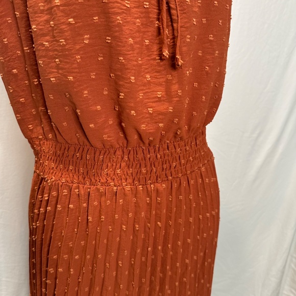 Pretty Garden Chic Burnt Orange Pleated Dress - Picture 5 of 7